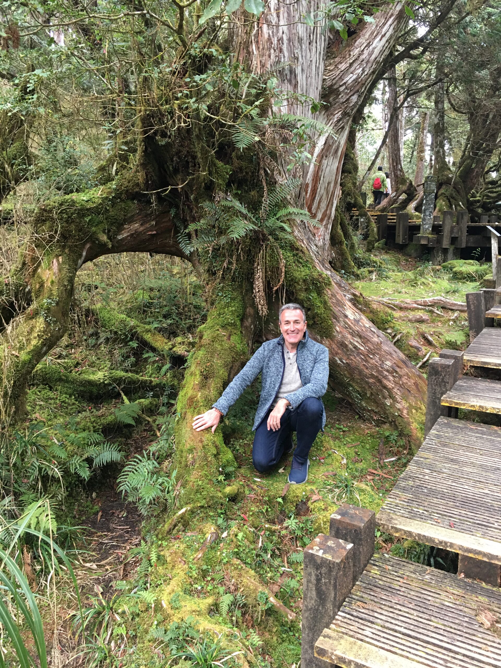 Alain Lancelot au pied d'un arbre centenaire dans la nature, en Asie