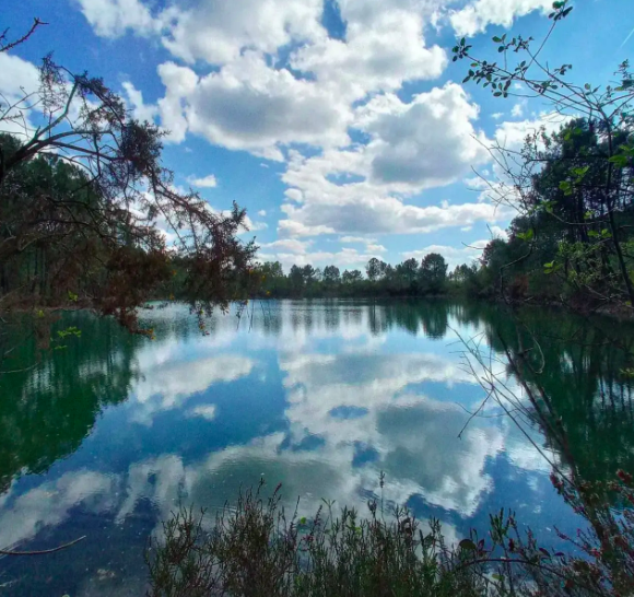 Lac du parc des Grunères à Arsac